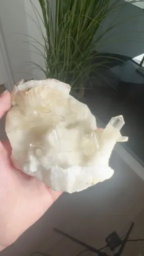 specimen video