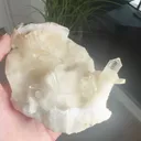 specimen video