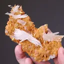 Gypsum on Calcite - image 2