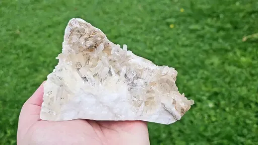 specimen video