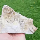 specimen video