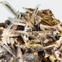 Gypsum on Matrix from Greece, Attica, Lavrion Mining District - image 3