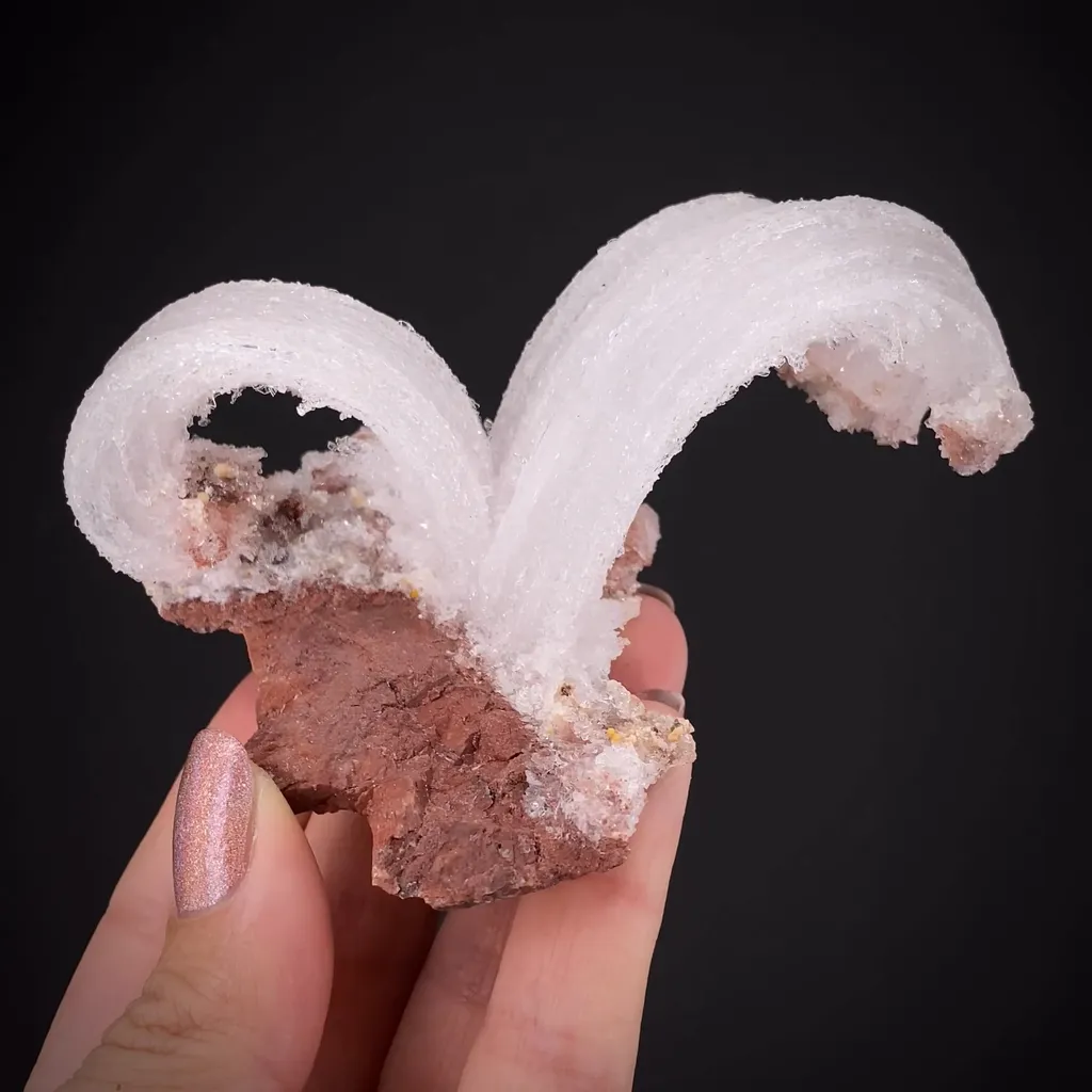Gypsum (Ram's Horn) image