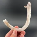 Gypsum (repaired) - image 1
