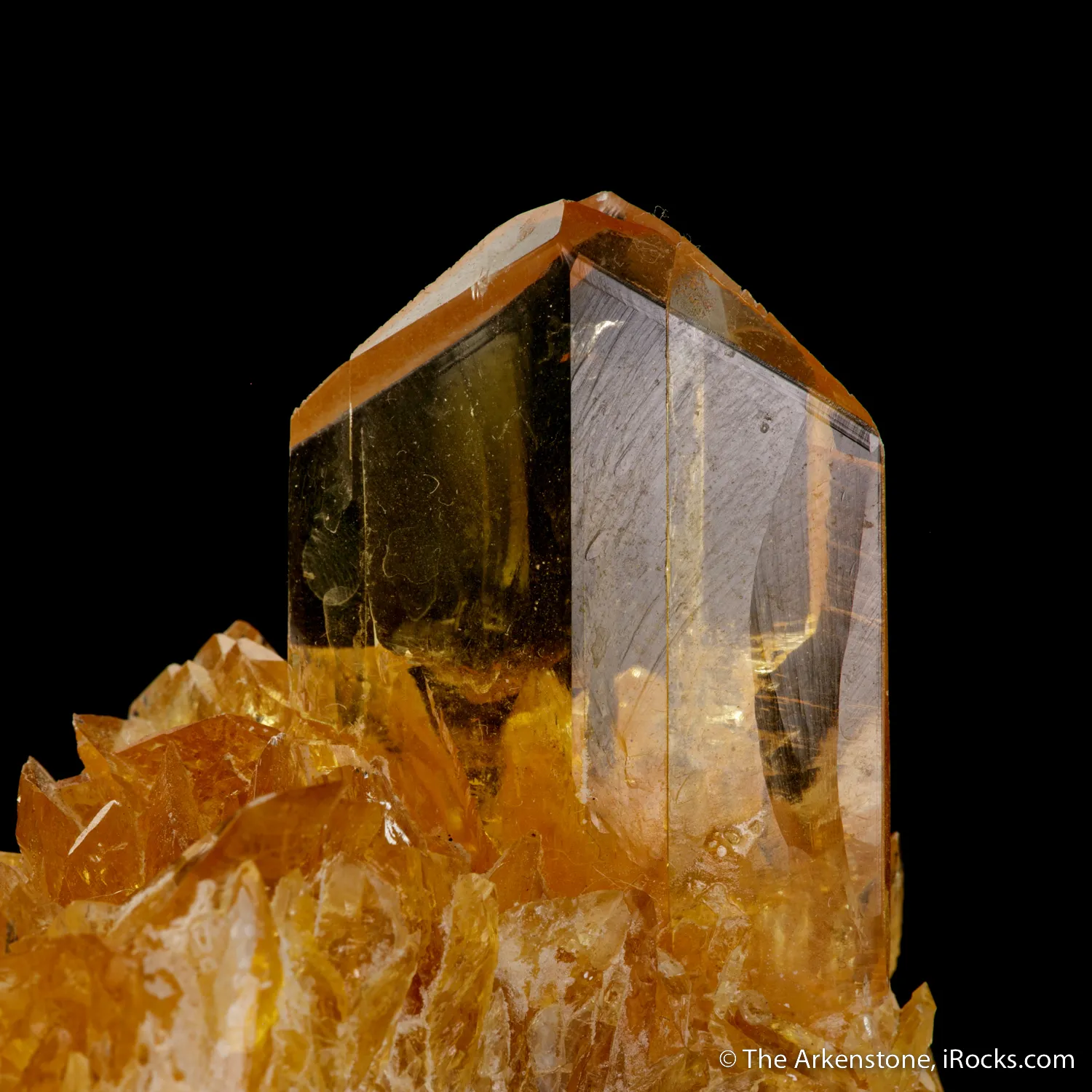 Gypsum (twinned) on Gypsum - image 6