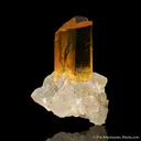 Gypsum (twinned) on Halite - image 3