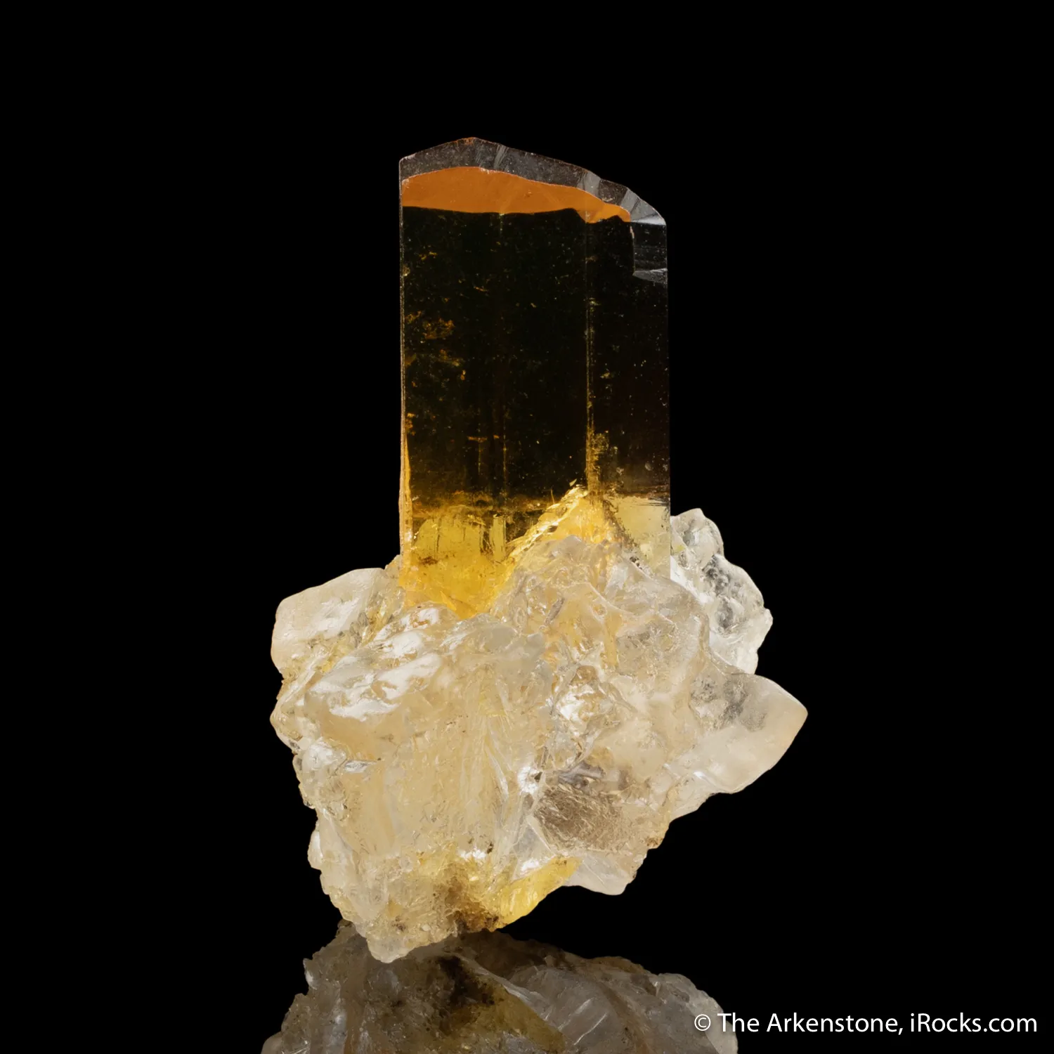 Gypsum (twinned) on Halite - image 1