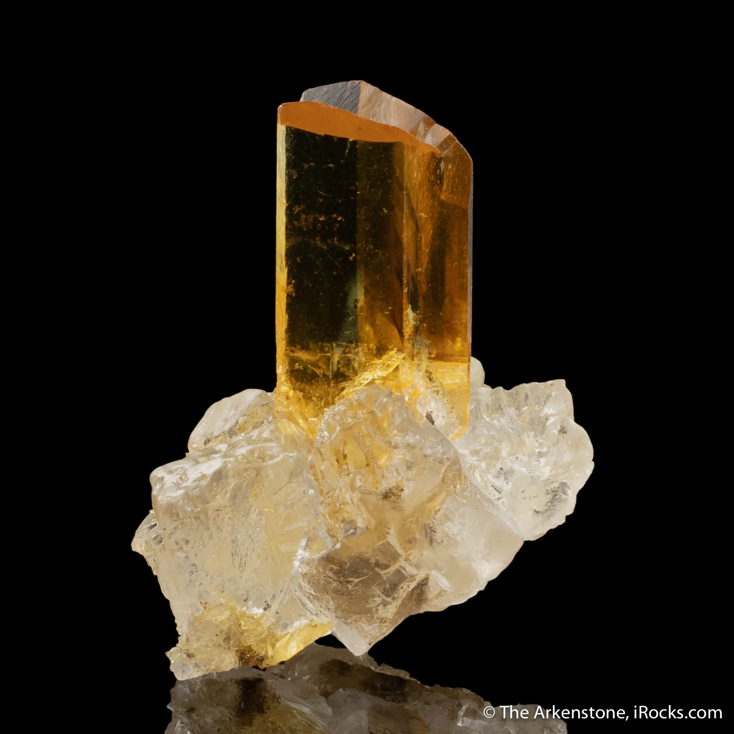 Gypsum (twinned) on Halite - image 2