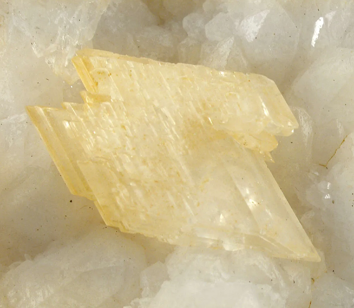 Gypsum (Twinned) on Quartz - image 3