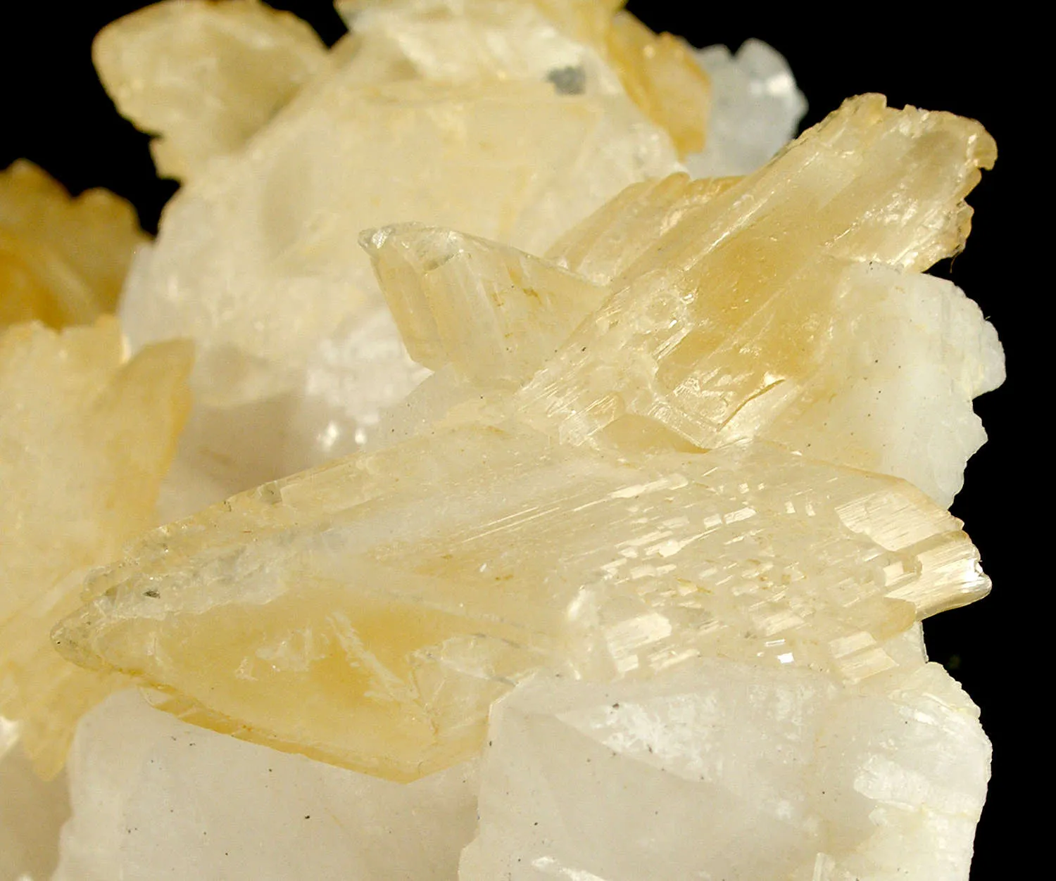 Gypsum (Twinned) on Quartz - image 4
