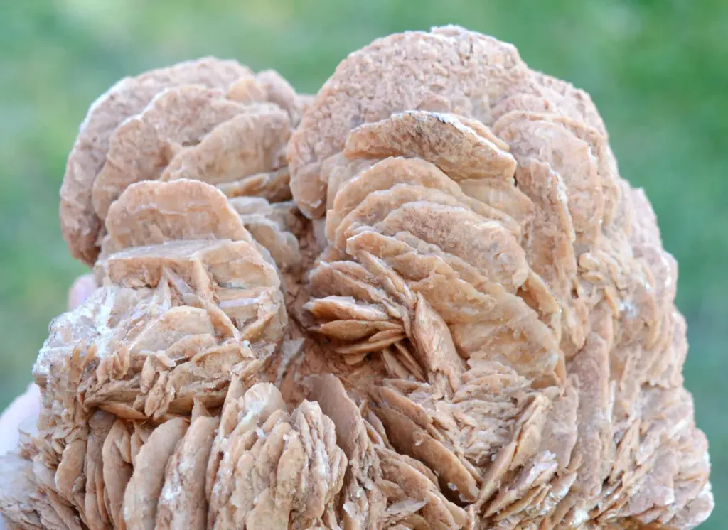 Gypsum var. Rose des sable 3520 grams - Gargas, Apt, Vaucluse, Provence-Alpes-Côte d'Azur, France - image 2