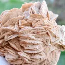 Gypsum var. Rose des sable 3520 grams - Gargas, Apt, Vaucluse, Provence-Alpes-Côte d'Azur, France - image 5