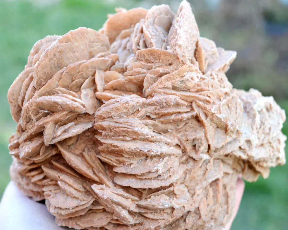 Gypsum var. Rose des sable 3520 grams - Gargas, Apt, Vaucluse, Provence-Alpes-Côte d'Azur, France - image 5