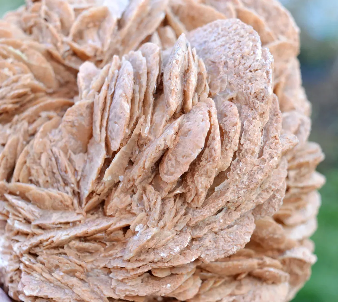 Gypsum var. Rose des sable 3520 grams - Gargas, Apt, Vaucluse, Provence-Alpes-Côte d'Azur, France - image 3