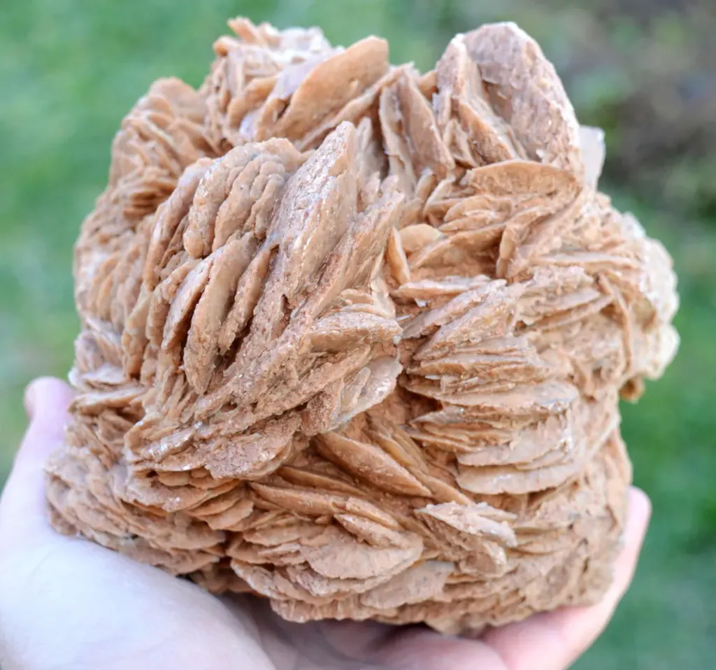 Gypsum var. Rose des sable 3520 grams - Gargas, Apt, Vaucluse, Provence-Alpes-Côte d'Azur, France image