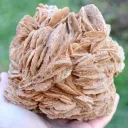 Gypsum var. Rose des sable 3520 grams - Gargas, Apt, Vaucluse, Provence-Alpes-Côte d'Azur, France - image 1