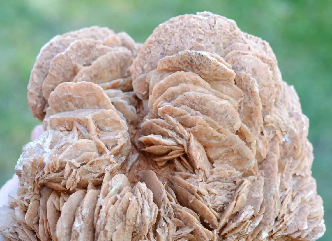 Gypsum var. Rose des sable 3520 grams - Gargas, Apt, Vaucluse, Provence-Alpes-Côte d'Azur, France - image 2