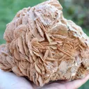 Gypsum var. Rose des sable 3520 grams - Gargas, Apt, Vaucluse, Provence-Alpes-Côte d'Azur, France - image 4