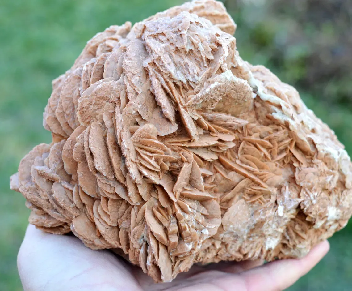 Gypsum var. Rose des sable 3520 grams - Gargas, Apt, Vaucluse, Provence-Alpes-Côte d'Azur, France - image 4