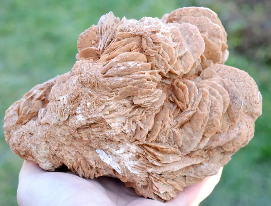 Gypsum var. Rose des sable 3520 grams - Gargas, Apt, Vaucluse, Provence-Alpes-Côte d'Azur, France - image 6