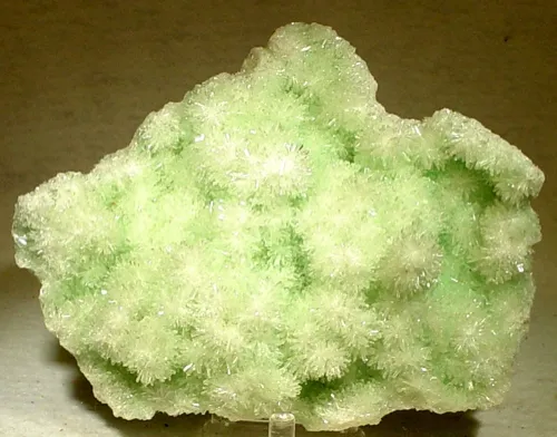 Gypsum (Var: Selenite) image