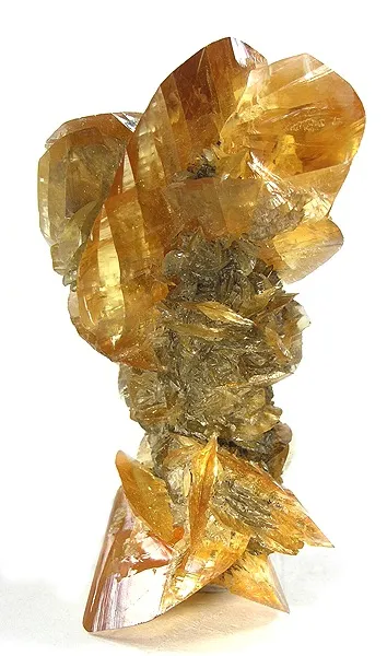Gypsum (Var: Selenite) image