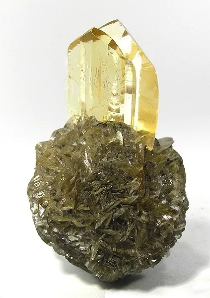 Gypsum (Var: Selenite) image