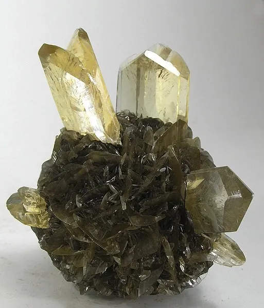 Gypsum (Var: Selenite) image