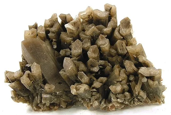 Gypsum (Var: Selenite) image
