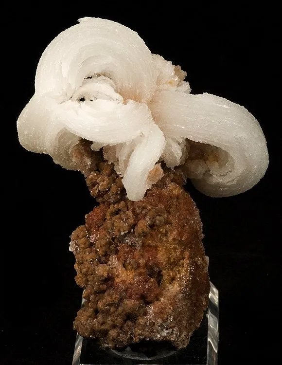 Gypsum (Var: Selenite) image