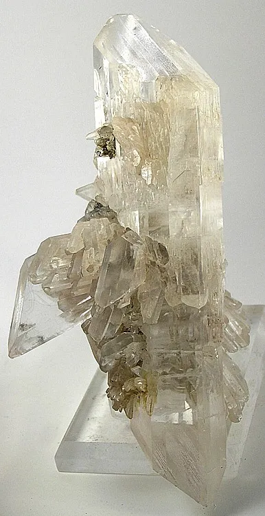 Gypsum (Var: Selenite) image