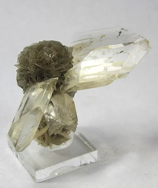 Gypsum (Var: Selenite) image