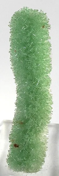 Gypsum (Var: Selenite) image