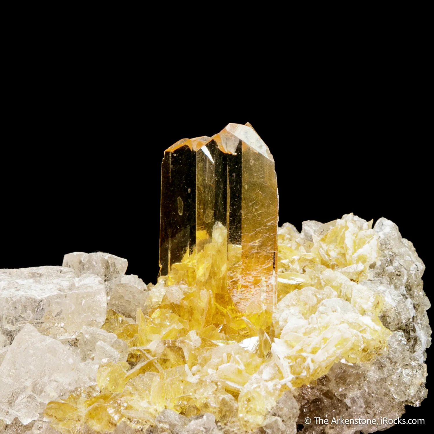Gypsum var. Selenite and Halite - image 5