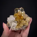 Gypsum var. Selenite and Halite - image 1