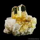 Gypsum var. Selenite and Halite - image 4