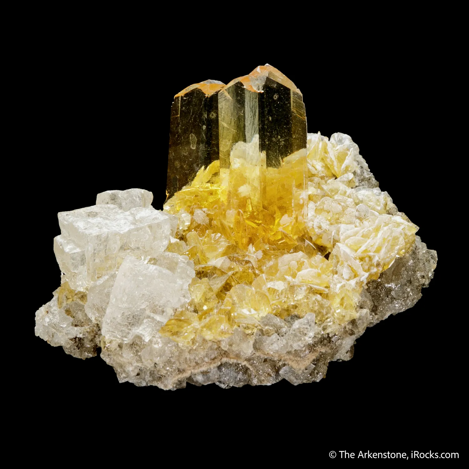Gypsum var. Selenite and Halite - image 3
