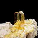 Gypsum var. Selenite and Halite - image 5