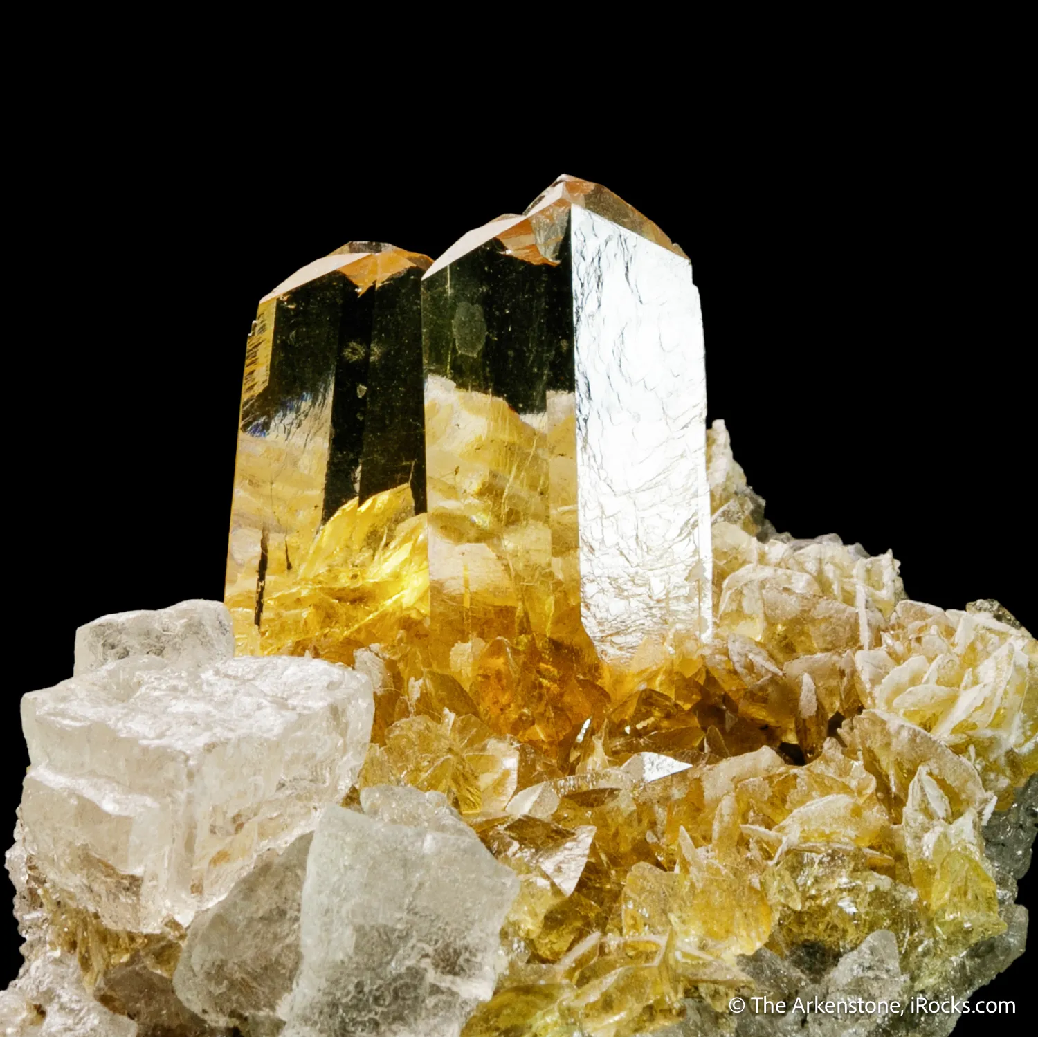 Gypsum var. Selenite and Halite - image 6