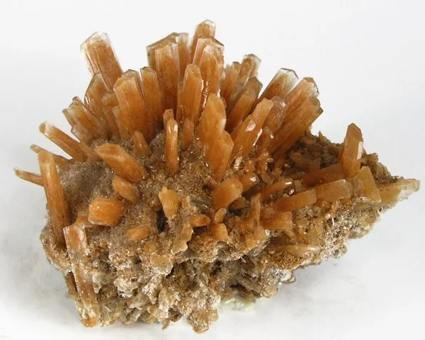 Gypsum (Var: Selenite) image