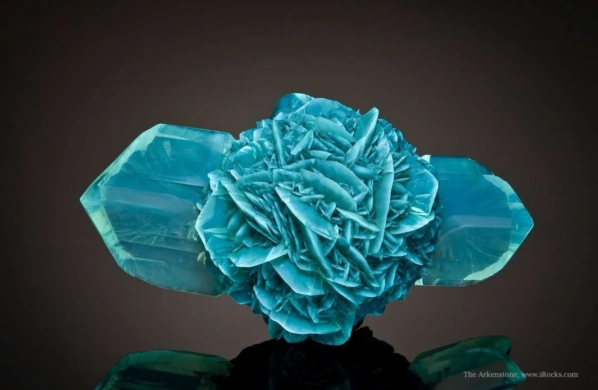 Gypsum Var. Selenite - image 3