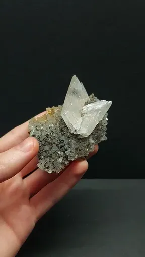 specimen video
