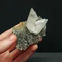 specimen video
