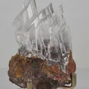 specimen video