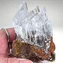 Gypsum var Selenite on Matrix from Mexico, Chihuahua, Naica - image 1