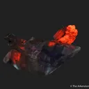 Gypsum var. Selenite, with Calcite - image 6