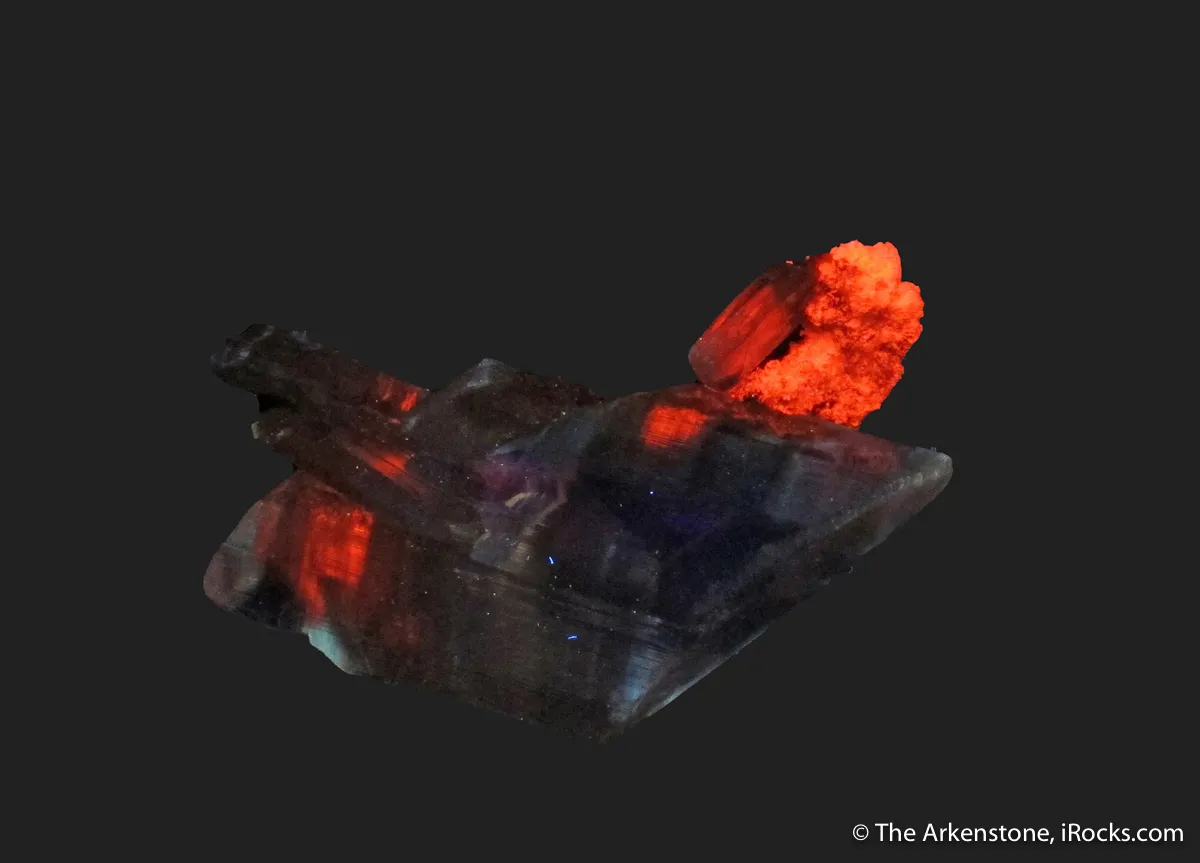 Gypsum var. Selenite, with Calcite - image 6