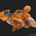 Gypsum var. Selenite, with Calcite - image 4