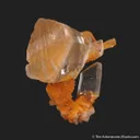 Gypsum var. Selenite, with Calcite - image 3