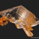 Gypsum var. Selenite, with Calcite - image 1
